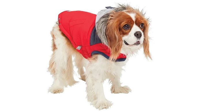 GF Pet Cabin Jacket Red Жакет для собак красный