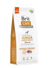 Brit Care Dog Hypoallergenic Junior Large Breed - Сухой корм для молодых собак больших пород с ягненком, 12 кг