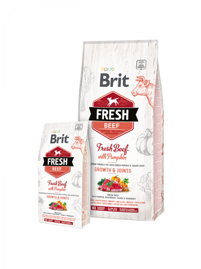 Brit Fresh Beef/Pumpkin - Сухий корм для собак з яловичиною і гарбузом