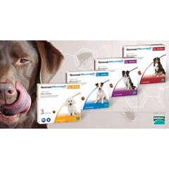 NexGard таблетки для собак для лікування та профілактики ектопаразитарних захворювань, 1 табл
