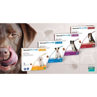 NexGard таблетки для собак для лечения и профилактики эктопаразитарных заболеваний, 1 табл