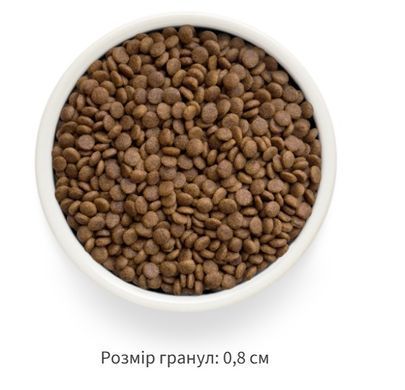 Grandorf Сухой беззерновой корм для взрослых кошек Grandorf FRESH TURKEY & SWEET POTATO ADULT CAT индейка с бататом, 400 г