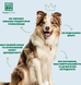 Духи для щенков Джуниор Дог Menforsan Perfume Junior Dog, 50 мл фото 6