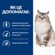 Hill's Prescription Diet Feline j/d - Лікувальний сухий корм для котів для підтримки здоров'я суглобів, 1,5 кг фото 4