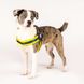 Шлейки для собак Max & Molly Q-Fit Harness Matrix Yellow жовтого кольору, XS фото 3