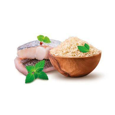 Home Food Dog Adult Mini Hypoallergenic - Гипоаллергенный сухой корм для взрослых собак малых пород, с форелью и рисом, 0,7 кг