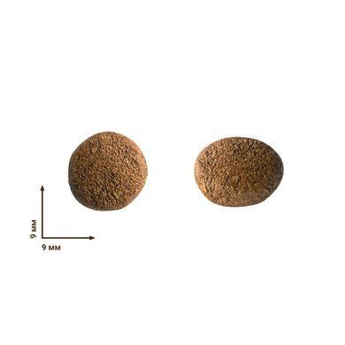 Home Food Dog Adult Mini Hypoallergenic - Гипоаллергенный сухой корм для взрослых собак малых пород, с форелью и рисом, 0,7 кг