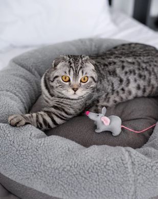 Harley & Cho М'яка іграшка мишка &laquo;Мішель&raquo; для котів