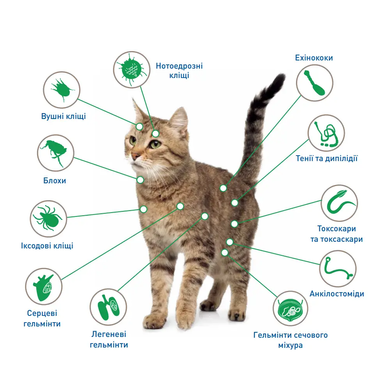 NexGard Combo НЕКСГАРД КОМБО капли от блох, клещей, гельминтов для котов с весом 2.5-7.5 кг (1 аппликатор)