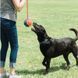 Chuckit! Rope Fetch - Легкий м'яч на мотузці для собак фото 3