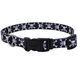 Coastal Pet Attire Styles - Ошейник для собак с принтом Череп, 2,5 см * 46-66 см