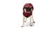 GF Pet Reversible raincoan red Двусторонний дождевик для собак красный фото 2