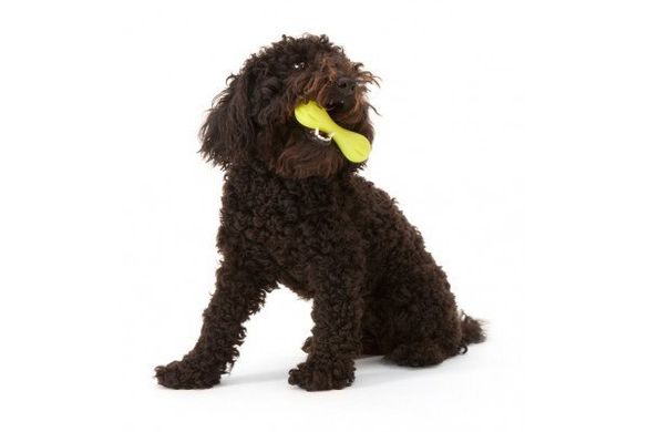 West Paw JIVE DOG BALL - Супер Мяч для собак S (6 см)