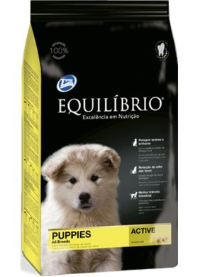 Equilibrio Dog Сухий суперпреміум корм для цуценят середніх порід