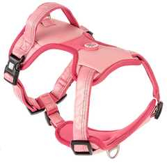 Max & Molly Smart ID Sport Harness Matrix 2.0 Rose/S - Шлейки Матрикс розового цвета