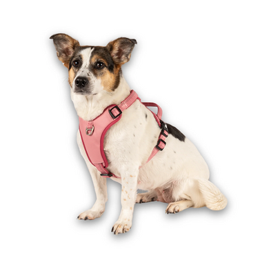 Шлейки для собак Max & Molly Smart ID Sport Harness Matrix 2.0 Rose розового цвета, S