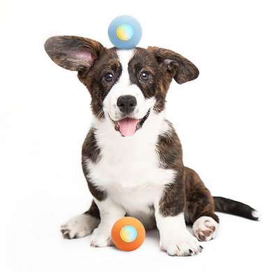 Cheerble Wicked Orange Ball SE - Интерактивный оранжевый мяч для собак маленьких и средних пород
