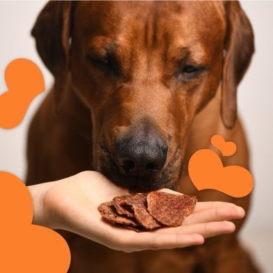 Ласощі для собак від 3-х місяців Mavsy Refined jerky DUCK CHIPS WITH CHIA SEEDS AND CARROTS чіпси з качки з насінням чіа та морквою, 50 г