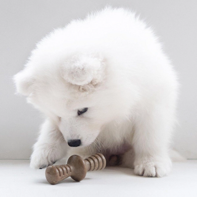 Benebone Puppy 2-Pack Maplestick Zaggler Bacon - Набір з двох жувальних іграшок для собак зі смаком бекону