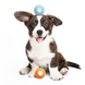 Cheerble Wicked Orange Ball SE - Інтерактивний помаранчевий м'яч для собак маленьких та середніх порід фото 2
