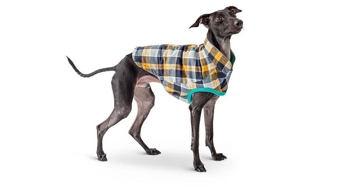 GF Pet Reversible trail jacket green Двосторонній дощовик для собак зелений