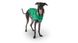 GF Pet Reversible trail jacket green Двосторонній дощовик для собак зелений фото 1