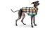 GF Pet Reversible trail jacket green Двосторонній дощовик для собак зелений фото 2