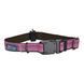 Coastal K9 Explorer Collar - Світловідбивний нашийник для собак