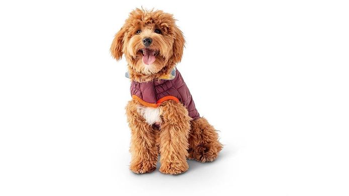 GF Pet Reversible trail jacket Двусторонний дождевик для собак