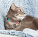 Max & Molly Smart ID Cat Collar Little Monsters/1 size - Ошейник для кошек Smart ID монстры фото 2