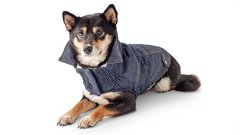 GF Pet REV Denim Jacket Курточка джинсова для собак