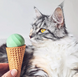 Cheerble Green Ice Cream Ball - Інтерактивний м'яч для котів, зелений фото 2