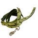 Coastal Pet Attire Weave КОСТАЛ поводок для собак, 1смХ1.8м (Ромашка ( 1 см.Х1,8 м.))