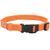 Coastal New Earth Soy Dog Collar - Соєвий еконашийник для собак, XXS