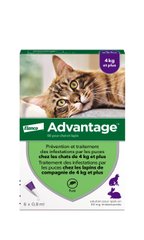 Elanco Bayer Advantage 80 - Капли от паразитов для кошек весом 4-8 кг, 1 пипетка