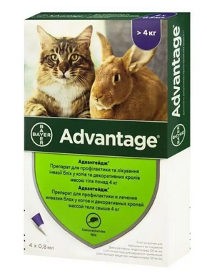 ADVANTAGE 80 (Адвантейдж) капли на холку от блох для кошек и декоративных кроликов весом от 4 кг до 8 кг, (1 пипетка)