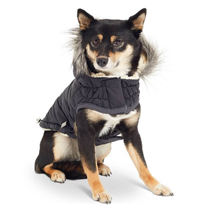 GF Pet Cabin Jacket Black Жакет для собак чёрный