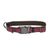 Coastal K9 Explorer Collar - Світловідбивний нашийник для собак Малиновий, 1,6 см * 20-30 см