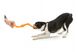West Paw Bumi Tug Toy - Игрушка S-образная для собак (21 см) фото 2