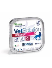 Monge Vetsolution Wet Recovery feline - Ветеринарні консерви для котів у період відновлення та одужання, 100 г
