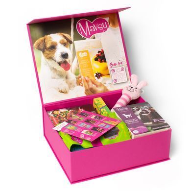 Подарунковий бокс ласощів Mavsy M, для собак середніх порід