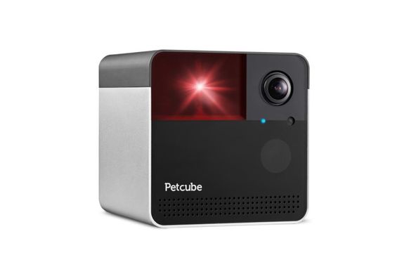 Компактная HD-камера Petcube Play 2 (PP20US)