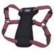 Coastal K9 Explorer Harness - Светоотражающая шлея с нагрудником для собак 2,3-4,5 кг