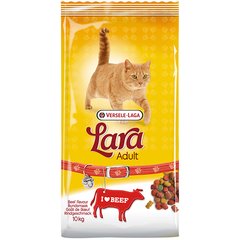 Lara Adult Beef flavour - Сухой премиум корм для активных котов, говядина, 10 кг