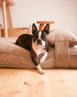 Подушка для собак Harley & Cho Memory Foam Pillow Cacao коричневого кольору ортопедична, розмір M