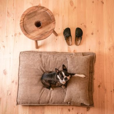 Подушка для собак Harley & Cho Memory Foam Pillow Cacao коричневого кольору ортопедична, розмір M