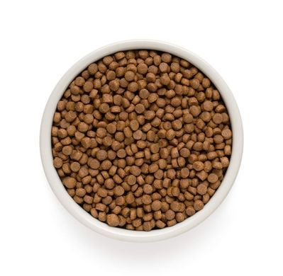 Grandorf Сухий корм для котів з нормальною активністю від 1 року і старше Grandorf FOUR MEAT Ault Indoor індор 4 види м'яса і пробіотик, 400 г
