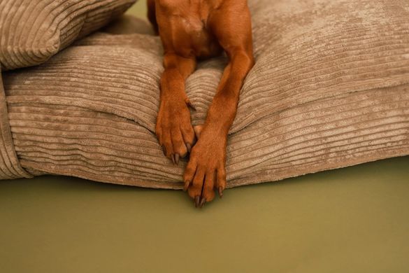Подушка для собак Harley & Cho Memory Foam Pillow Cacao коричневого кольору ортопедична, розмір M