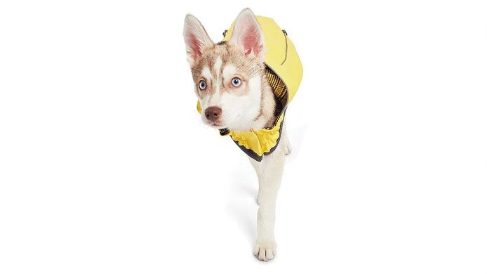 GF Pet Reversible raincoan yellow Двусторонний дождевик для собак желтый