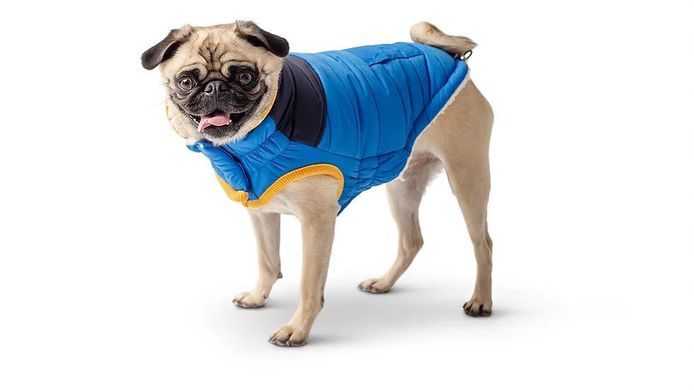 GF Pet Scout Jacket Жакет для собак синий